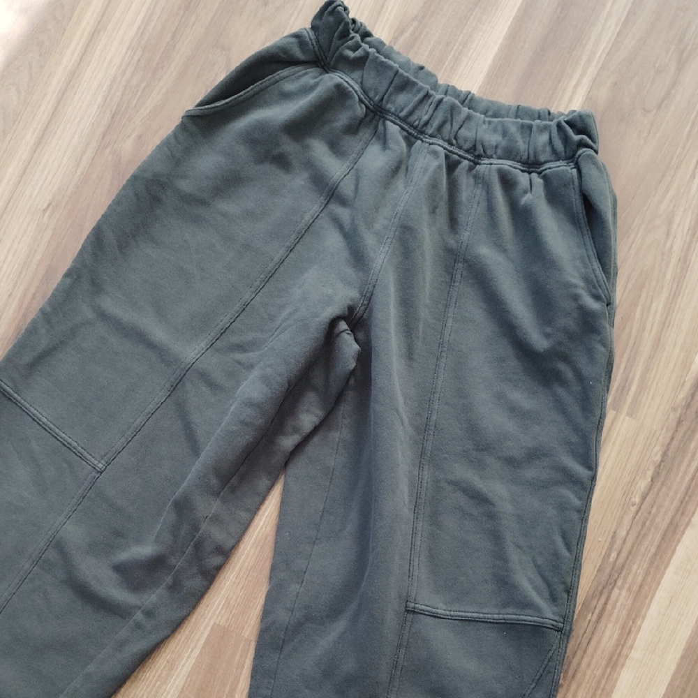 Aerie Charcoal Joggers